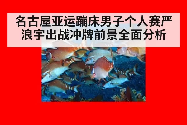 名古屋亚运蹦床男子个人赛严浪宇出战冲牌前景全面分析